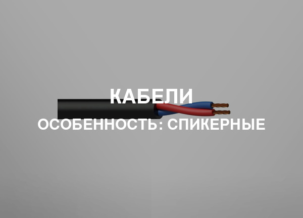 Особенность: Спикерные