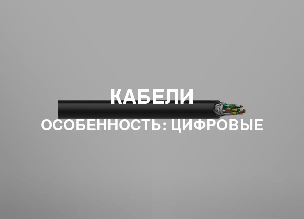 Особенность: Цифровые